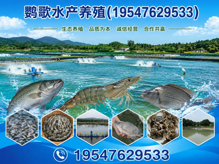 邛崃市中大型鹦鹉繁育展示图