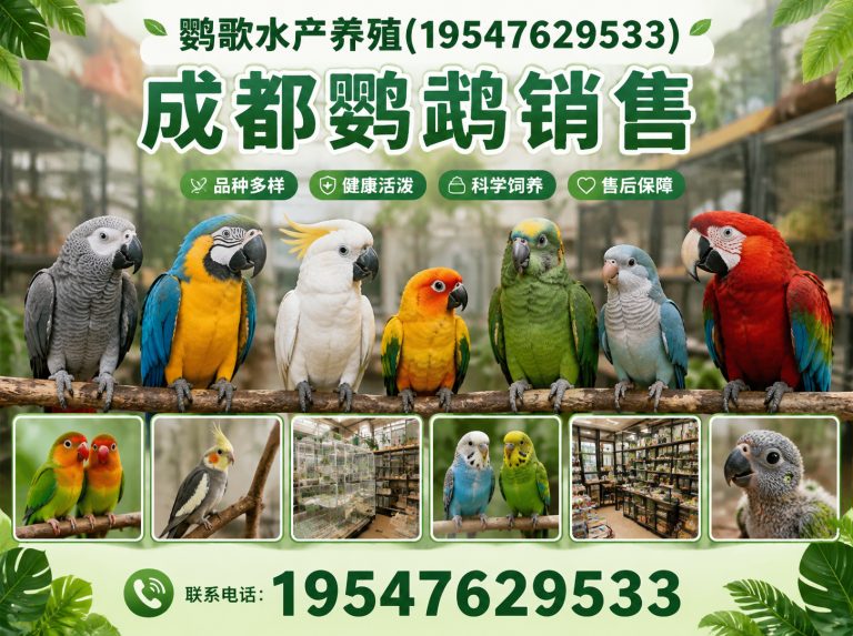 邛崃市金刚鹦鹉展示图