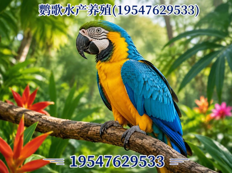 邛崃市鹦歌水产养殖展示图